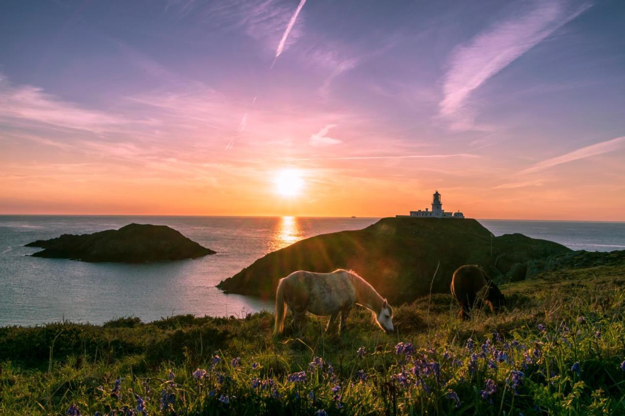 Carreg Yr Onnen Βίλα Haverfordwest Εξωτερικό φωτογραφία